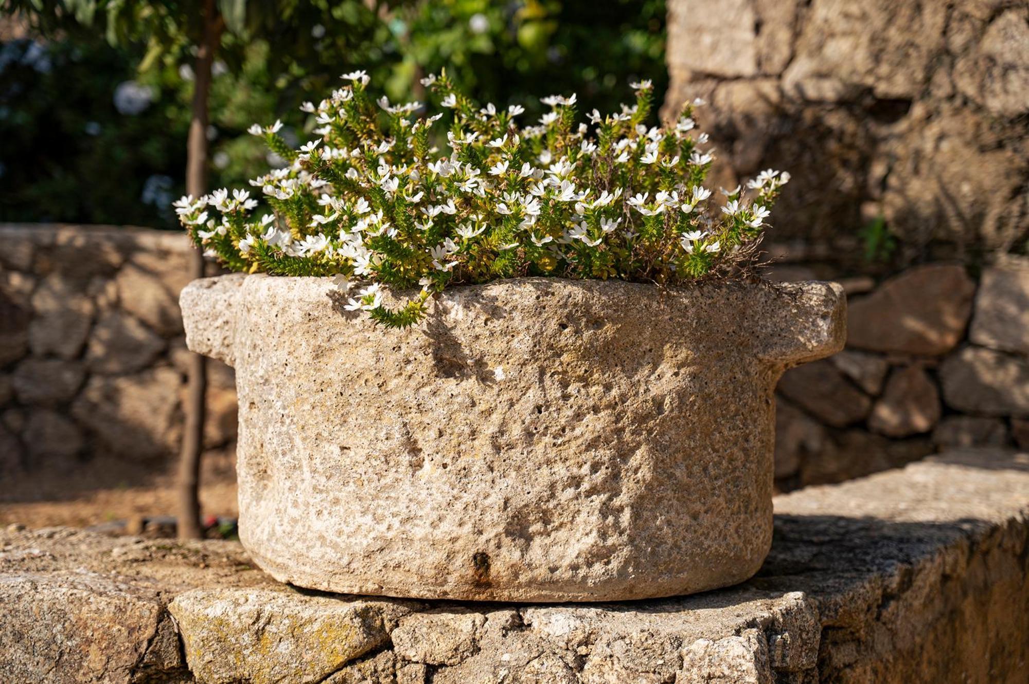 Le Clos De Mansart Grimaud Exteriér fotografie